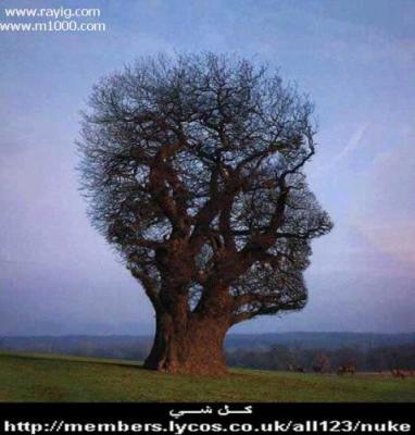 chof_weskot          omad9ola 7eta nwa7id awla ............